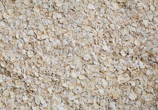 La Avena, cereal ideal para la alimentación cotidiana