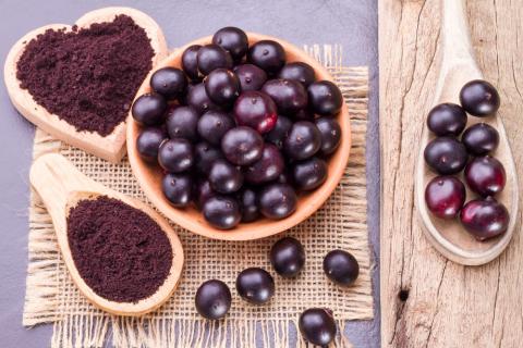 Açaí, la Joya Púrpura de la Amazonía