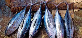 El Pescado Azul: Tesoro Nutricional del Mar