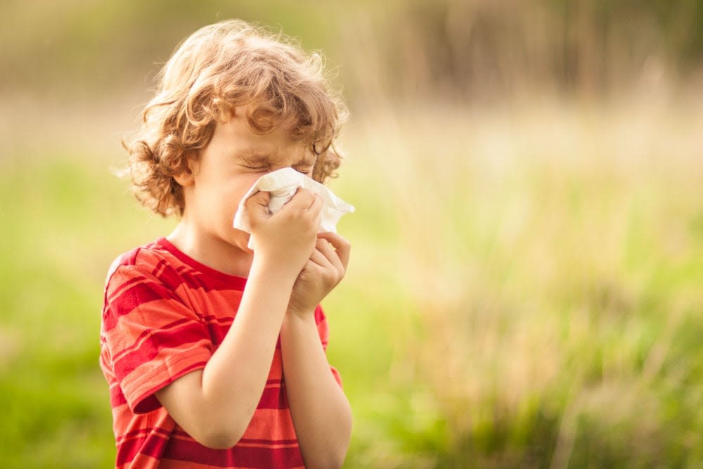 Alergias en niños: síntomas y cuándo hacer exámenes